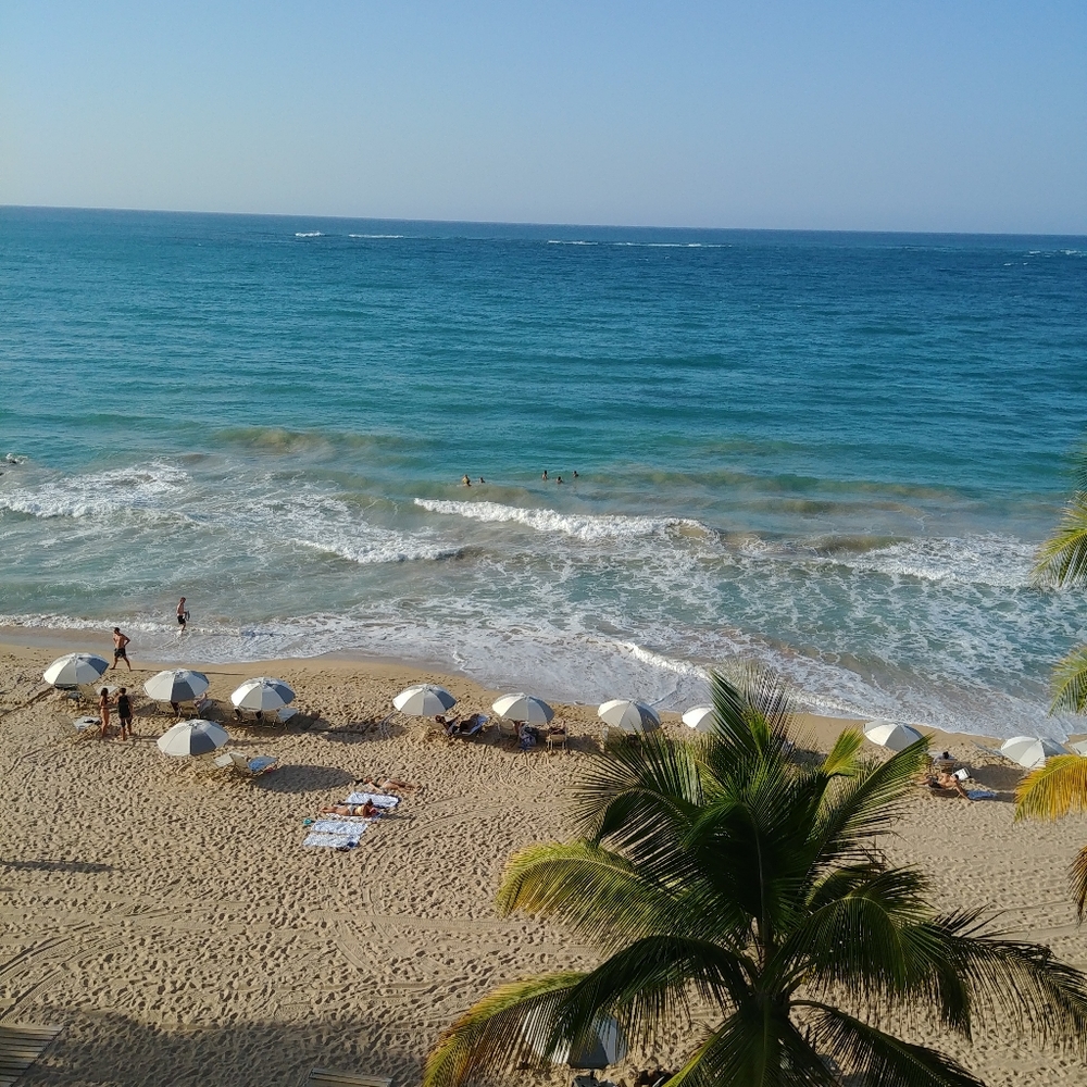 Meet your Posher, J Verni